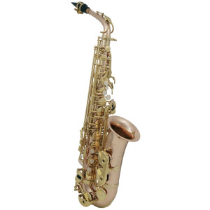 Saxofón Alto ROY BENSON AS-202G